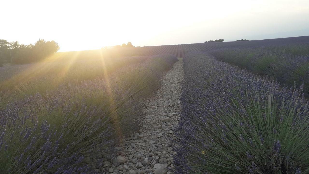 Le Mas Du Colombier Cadenet Exterior photo